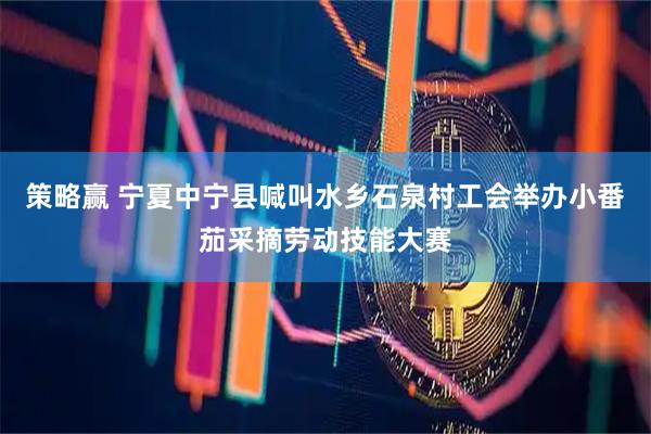 策略赢 宁夏中宁县喊叫水乡石泉村工会举办小番茄采摘劳动技能大赛