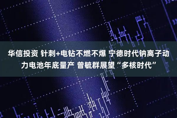 华信投资 针刺+电钻不燃不爆 宁德时代钠离子动力电池年底量产 曾毓群展望“多核时代”