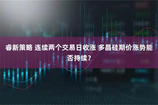 睿新策略 连续两个交易日收涨 多晶硅期价涨势能否持续？