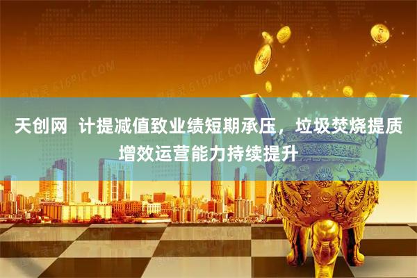 天创网  计提减值致业绩短期承压，垃圾焚烧提质增效运营能力持续提升
