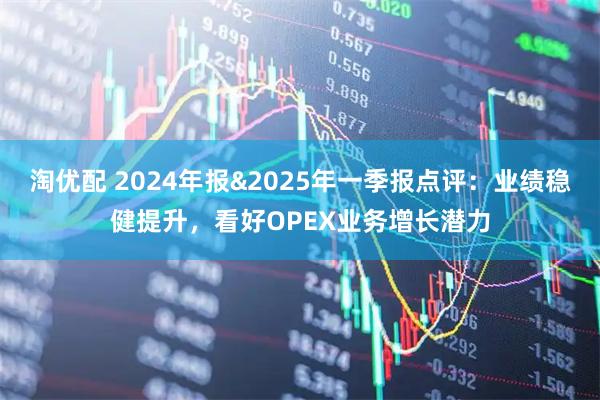 淘优配 2024年报&2025年一季报点评：业绩稳健提升，看好OPEX业务增长潜力