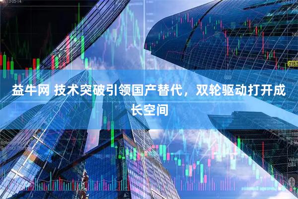 益牛网 技术突破引领国产替代，双轮驱动打开成长空间