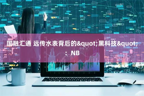 国融汇通 远传水表背后的"黑科技"：NB