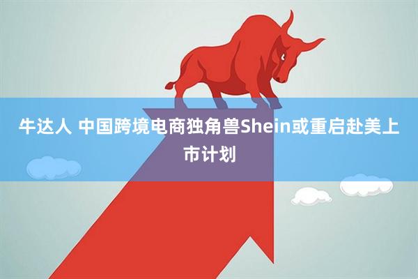 牛达人 中国跨境电商独角兽Shein或重启赴美上市计划