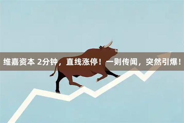 维嘉资本 2分钟，直线涨停！一则传闻，突然引爆！