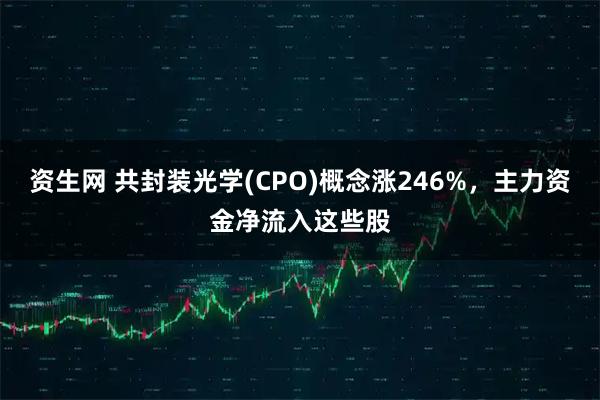 资生网 共封装光学(CPO)概念涨246%，主力资金净流入这些股