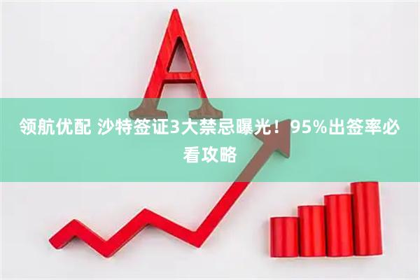 领航优配 沙特签证3大禁忌曝光！95%出签率必看攻略